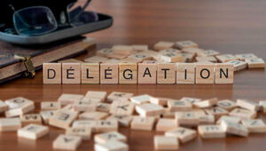 delegation